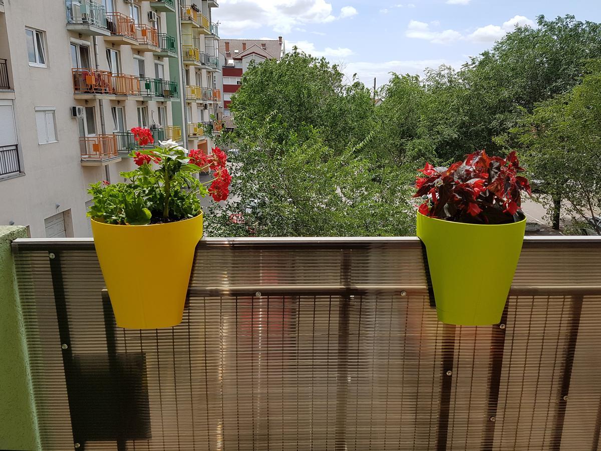 Apartman Boska Σουμπότικα Εξωτερικό φωτογραφία